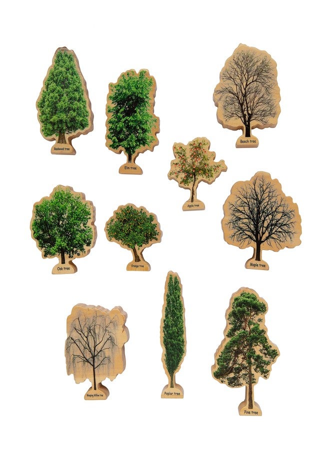 THE FRECKLED FROG Wooden Seasons Trees - Image 4